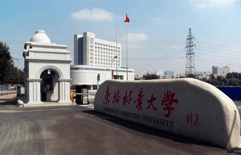 和嘉丨簽單遠(yuǎn)程指導(dǎo)東北林業(yè)大學(xué)智慧校園機(jī)房動(dòng)環(huán)監(jiān)控項(xiàng)目